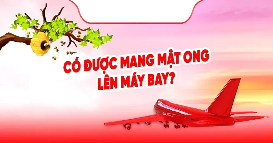 Mật ong có được mang lên máy bay không