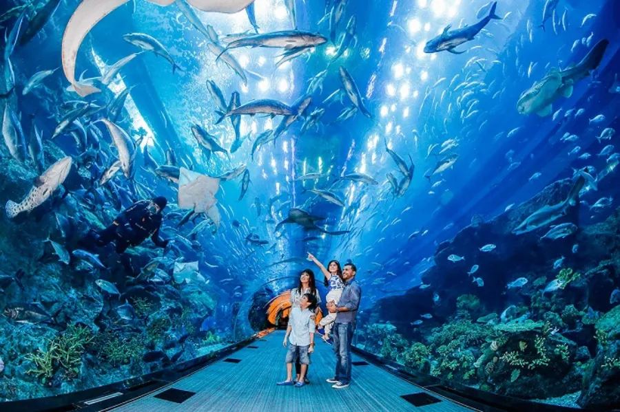 Churaumi Okinawa Aquarium: Thế giới đại dương tại Okinawa