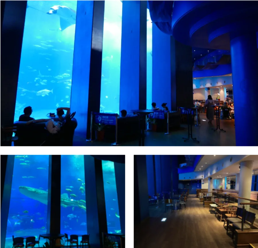 Churaumi Okinawa Aquarium: Thế giới đại dương tại Okinawa