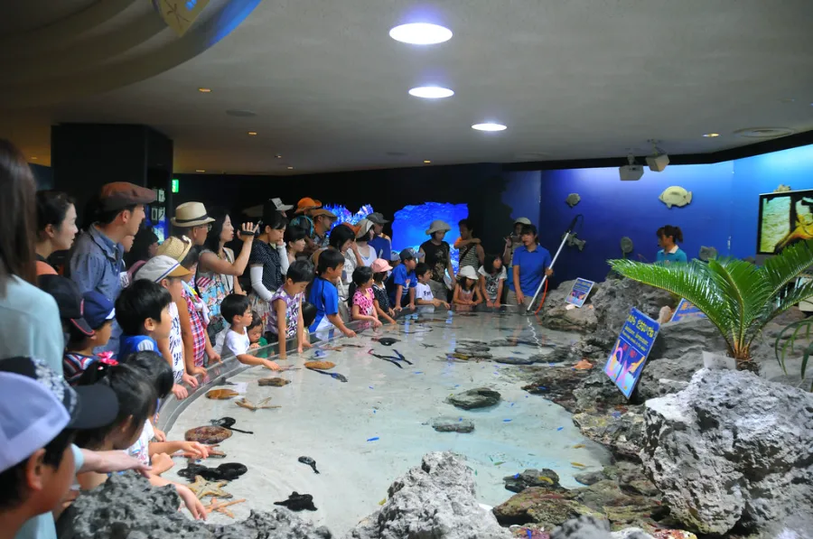 Churaumi Okinawa Aquarium: Thế giới đại dương tại Okinawa