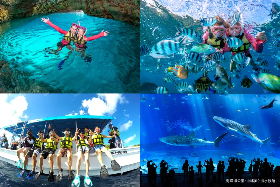 Churaumi Okinawa Aquarium: Thế giới đại dương tại Okinawa