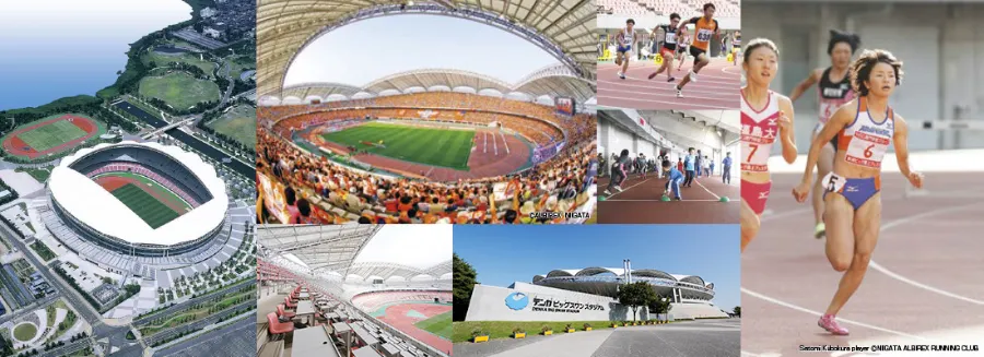 Denka Big Swan Stadium: Thiên nga trắng giữa lòng Niigata