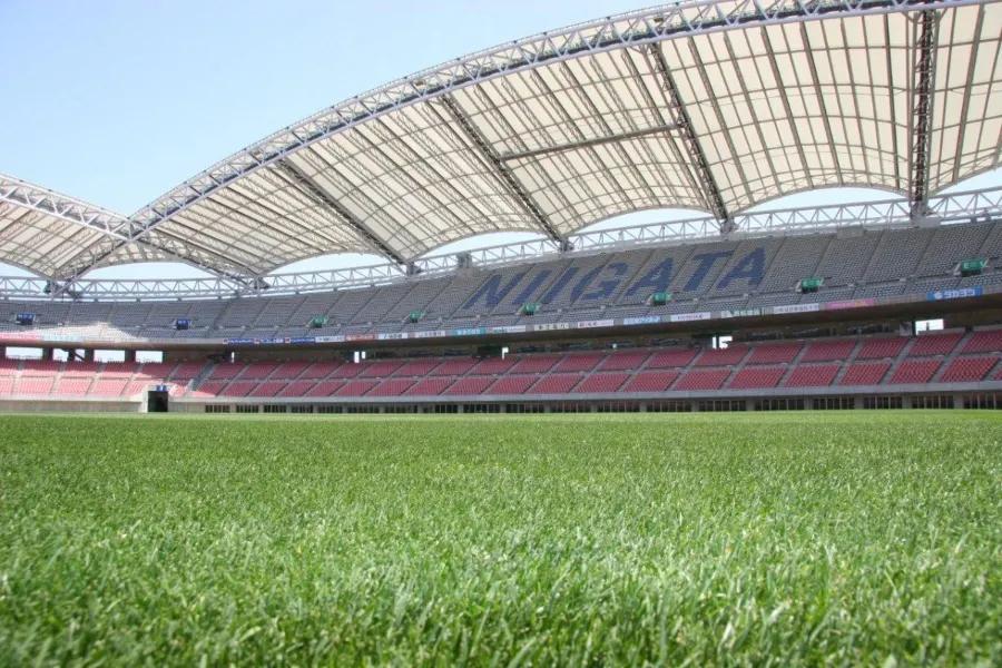 Denka Big Swan Stadium: Thiên nga trắng giữa lòng Niigata