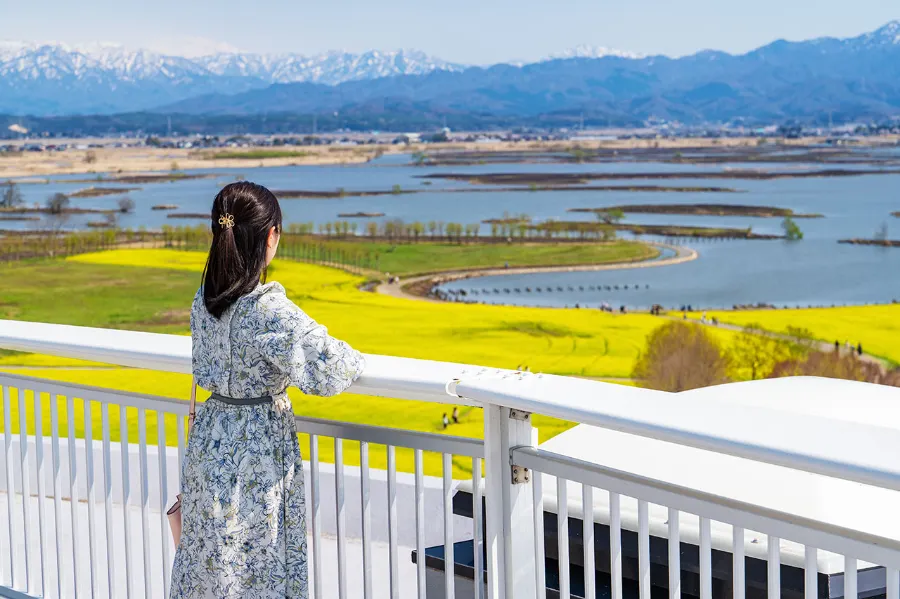 Top 20 địa điểm du lịch nổi bật tại Niigata Nhật Bản Fukushimagata Lagoon | Địa điểm du lịch Niigata