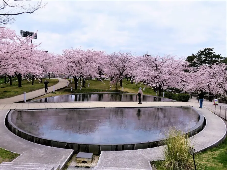 Hakusan Park: Ốc đảo xanh giữa lòng thành phố Niigata