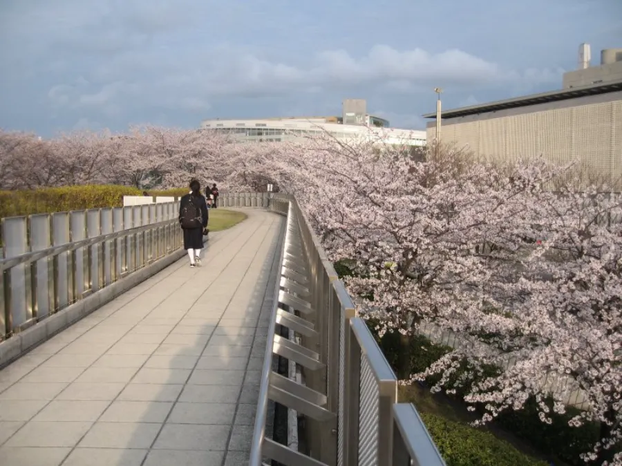 Hakusan Park: Ốc đảo xanh giữa lòng thành phố Niigata