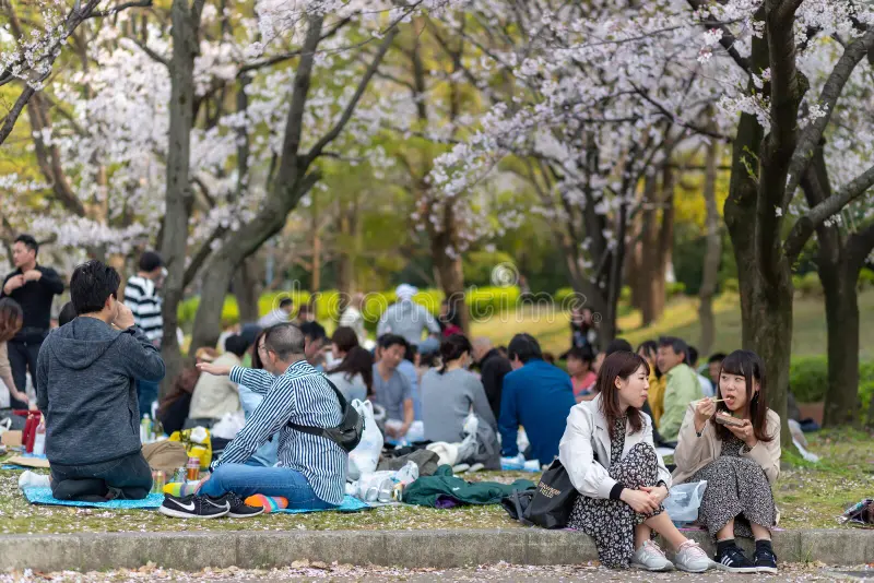 Hakusan Park: Ốc đảo xanh giữa lòng thành phố Niigata