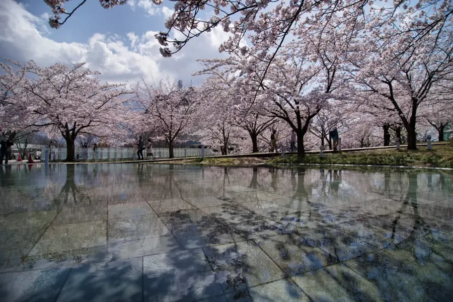 Hakusan Park: Ốc đảo xanh giữa lòng thành phố Niigata