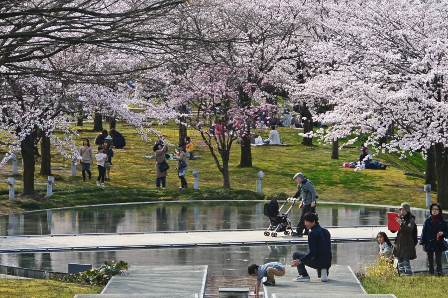 Hakusan Park: Ốc đảo xanh giữa lòng thành phố Niigata