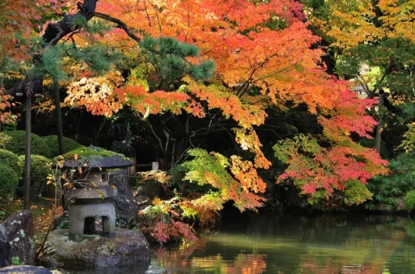 Hakusan Park: Ốc đảo xanh giữa lòng thành phố Niigata