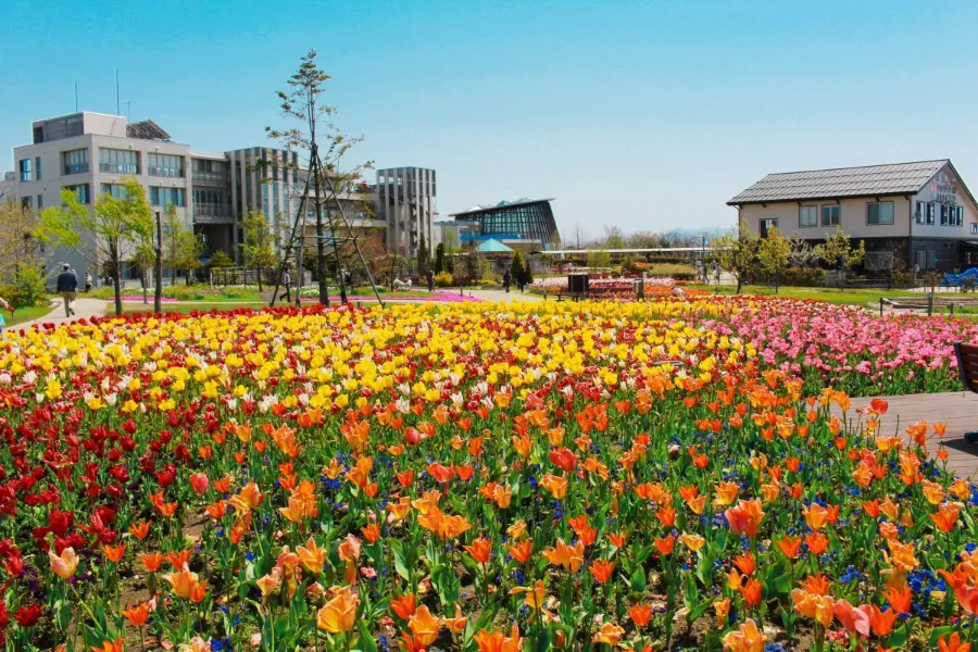 Top 20 địa điểm du lịch nổi bật tại Niigata Nhật Bản Ikutopia | Địa điểm du lịch Niigata