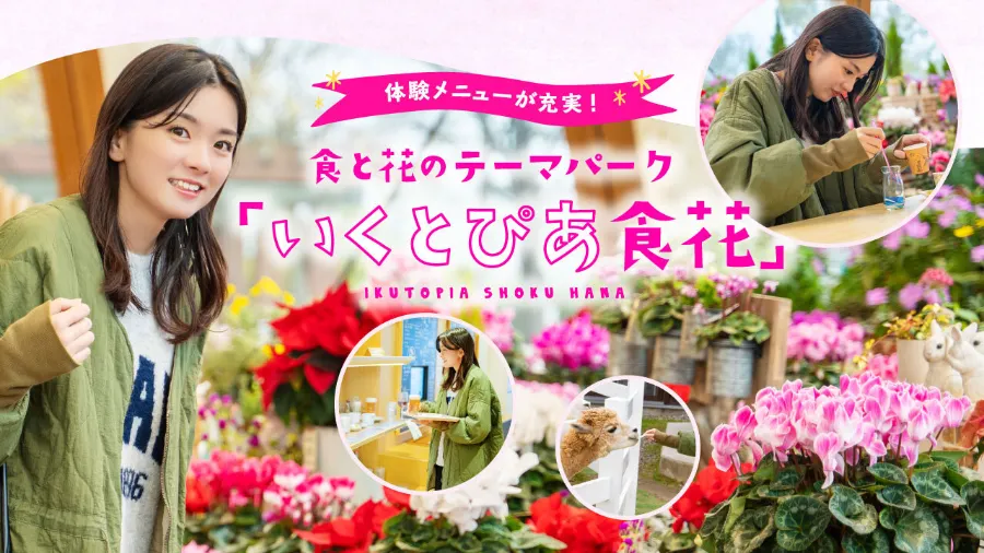 Top 20 địa điểm du lịch nổi bật tại Niigata Nhật Bản Ikutopia | Địa điểm du lịch Niigata