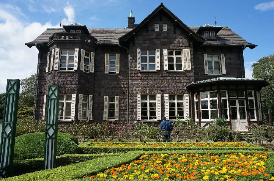 Hoa Cúc Nhật Bản: Biểu Tượng Rực Rỡ Của Tinh Thần Và Văn Hóa Hoa cúc Nhật Bản: 8 địa điểm ngắm hoa cúc tuyệt đẹp ở Nhật