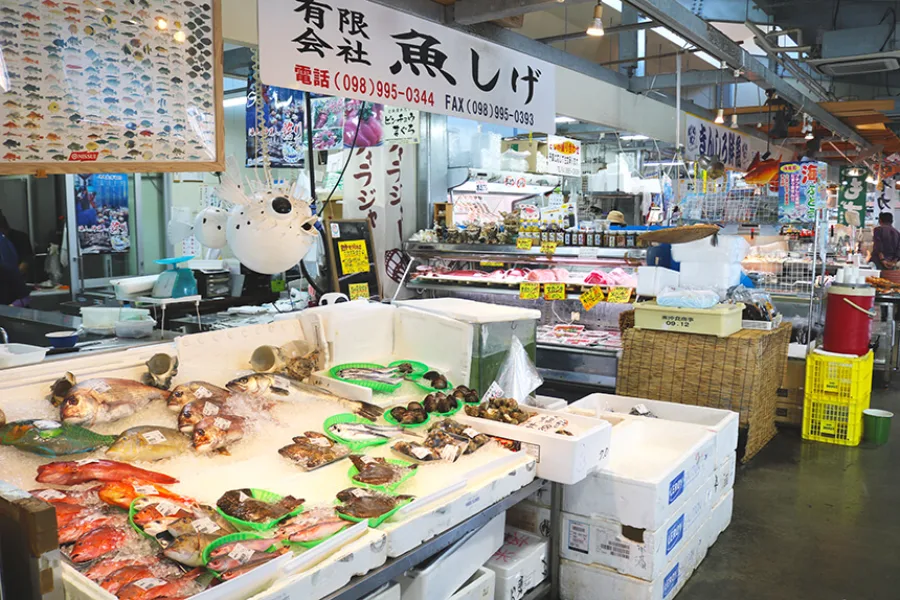 Mua sắm tại chợ Nago | Du Lịch Nago, Okinawa