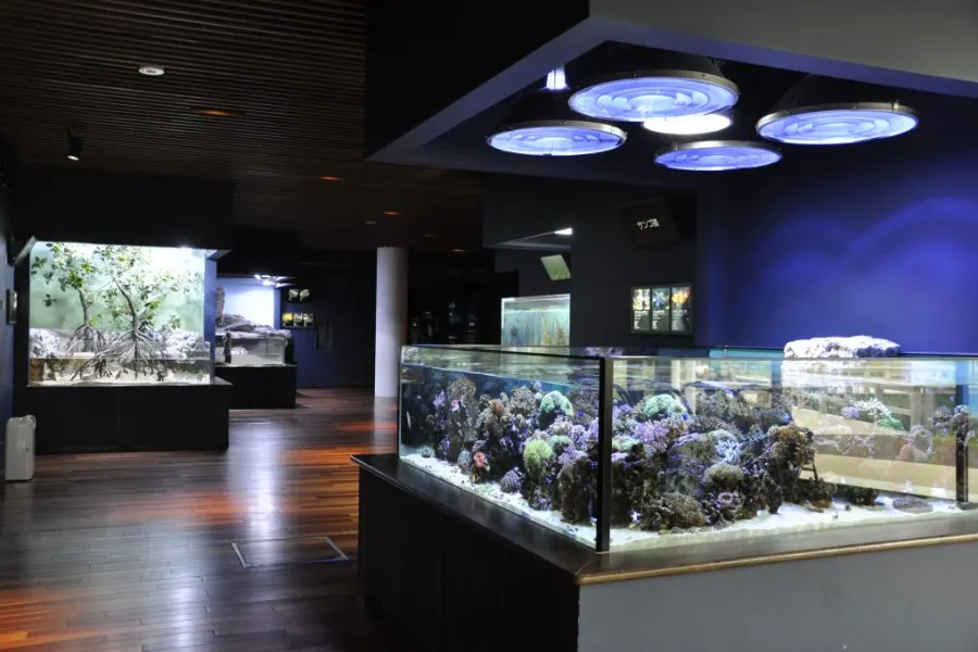 Niigata City Aquarium Marinepia Nihonkai - Niigata, Nhật Bản