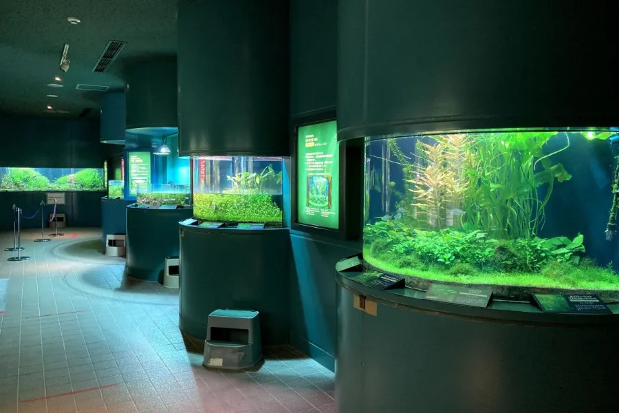 Niigata City Aquarium Marinepia Nihonkai - Niigata, Nhật Bản