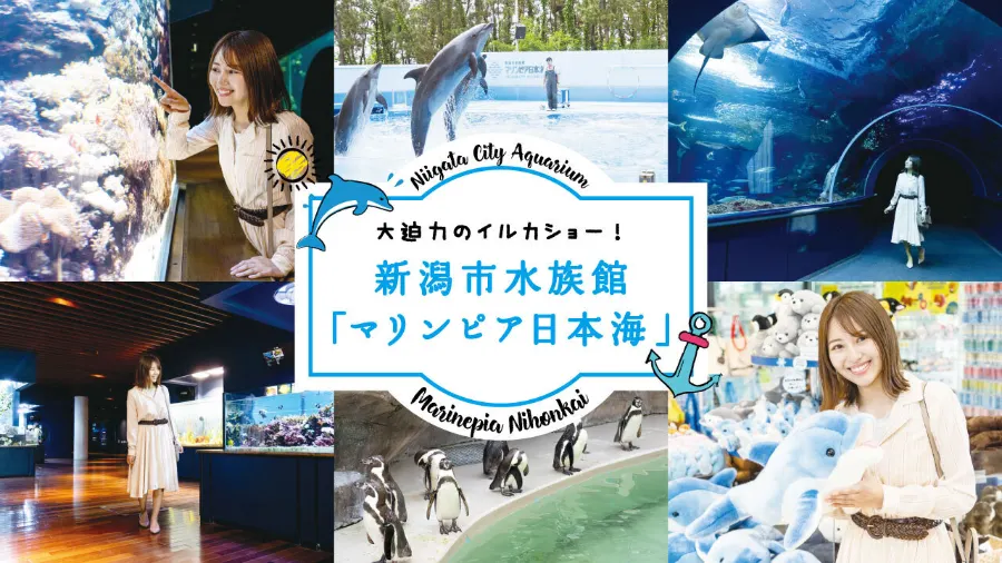 Niigata City Aquarium Marinepia Nihonkai - Niigata, Nhật Bản