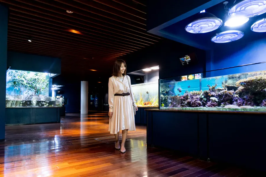 Niigata City Aquarium Marinepia Nihonkai - Niigata, Nhật Bản