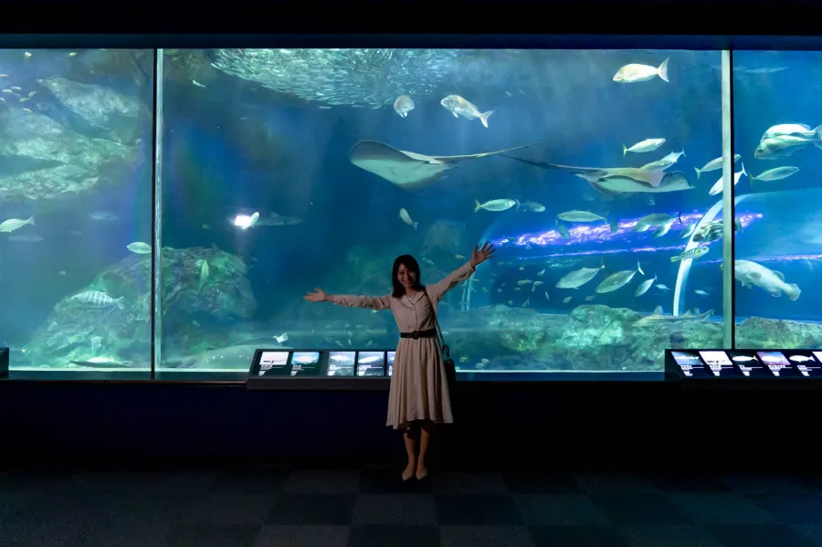 Niigata City Aquarium Marinepia Nihonkai - Niigata, Nhật Bản