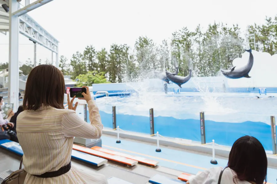 Niigata City Aquarium Marinepia Nihonkai - Niigata, Nhật Bản