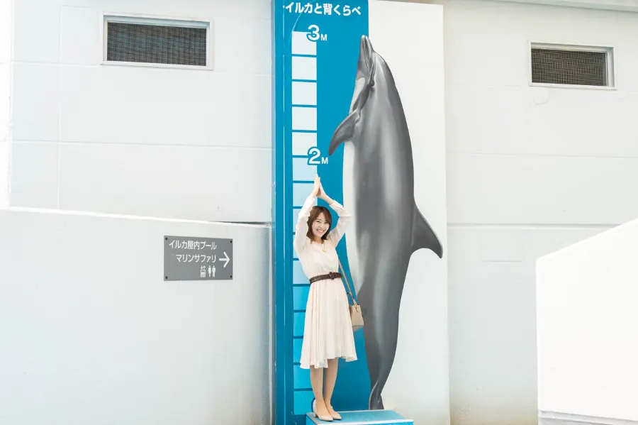 Niigata City Aquarium Marinepia Nihonkai - Niigata, Nhật Bản