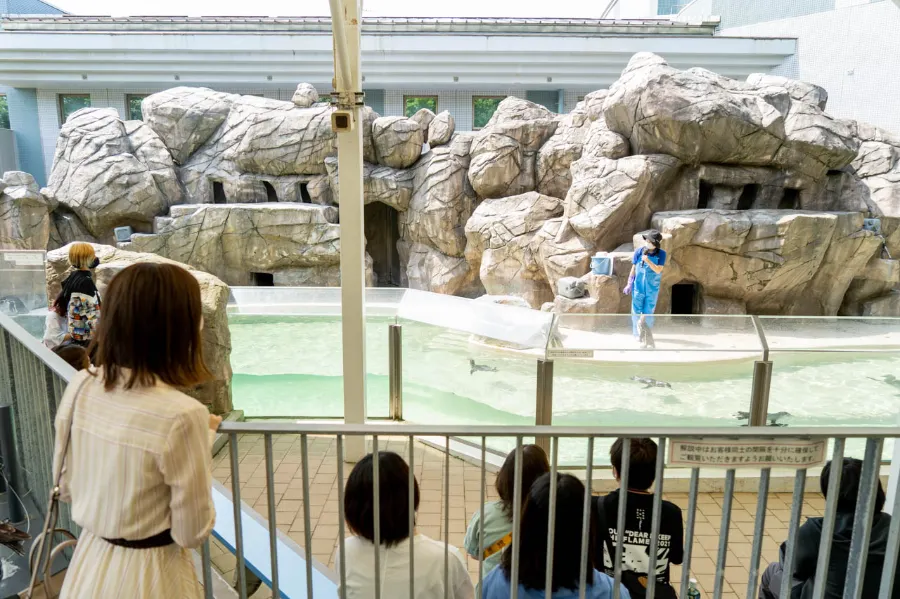 Niigata City Aquarium Marinepia Nihonkai - Niigata, Nhật Bản