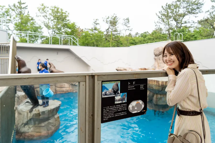 Niigata City Aquarium Marinepia Nihonkai - Niigata, Nhật Bản