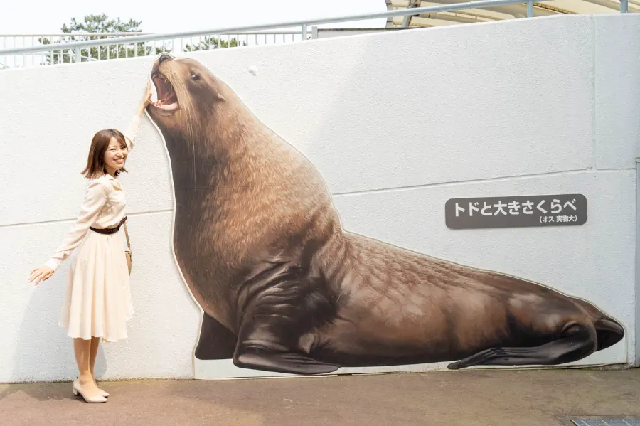 Niigata City Aquarium Marinepia Nihonkai - Niigata, Nhật Bản