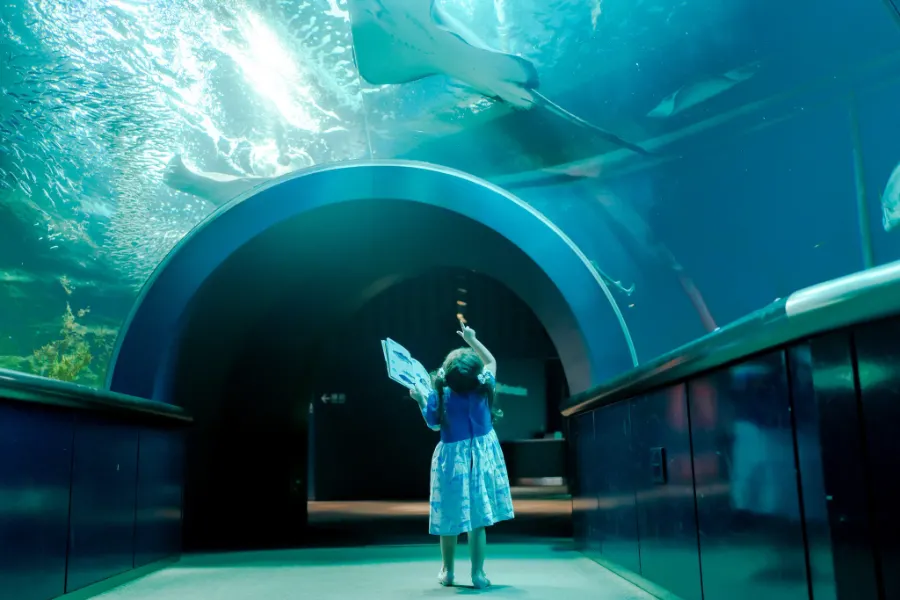 Niigata City Aquarium Marinepia Nihonkai - Niigata, Nhật Bản