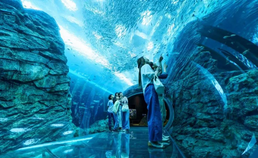 Niigata City Aquarium Marinepia Nihonkai - Niigata, Nhật Bản