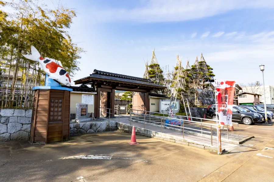 Nishikigoi Village | Địa điểm du lịch Niigata