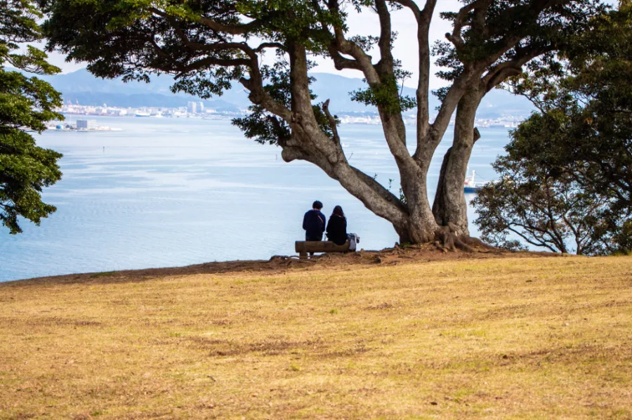 Cánh đồng cỏ lau Nokonoshima Island Park | Cánh đồng cỏ lau ở Nhật Bản