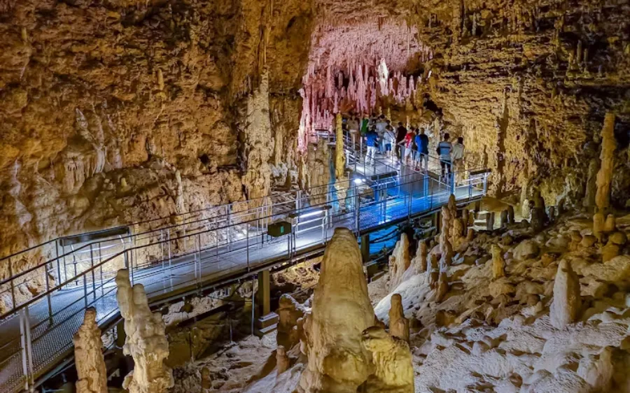 Okinawa World: Hành trình khám phá vẻ đẹp của Okinawa