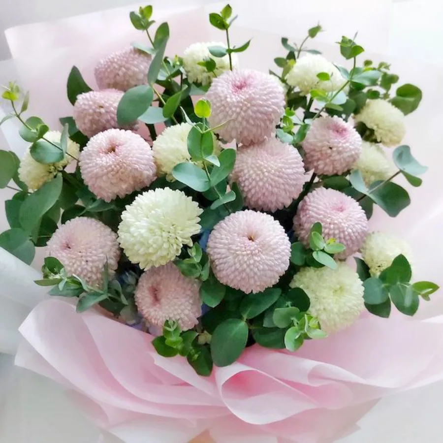 Hoa Cúc Nhật Bản: Biểu Tượng Rực Rỡ Của Tinh Thần Và Văn Hóa Hoa cúc Nhật Bản: 8 địa điểm ngắm hoa cúc tuyệt đẹp ở Nhật