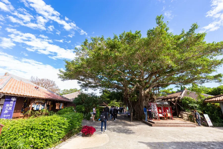 Shurijo Castle: Niềm tự hào của người dân Okinawa, Nhật Bản