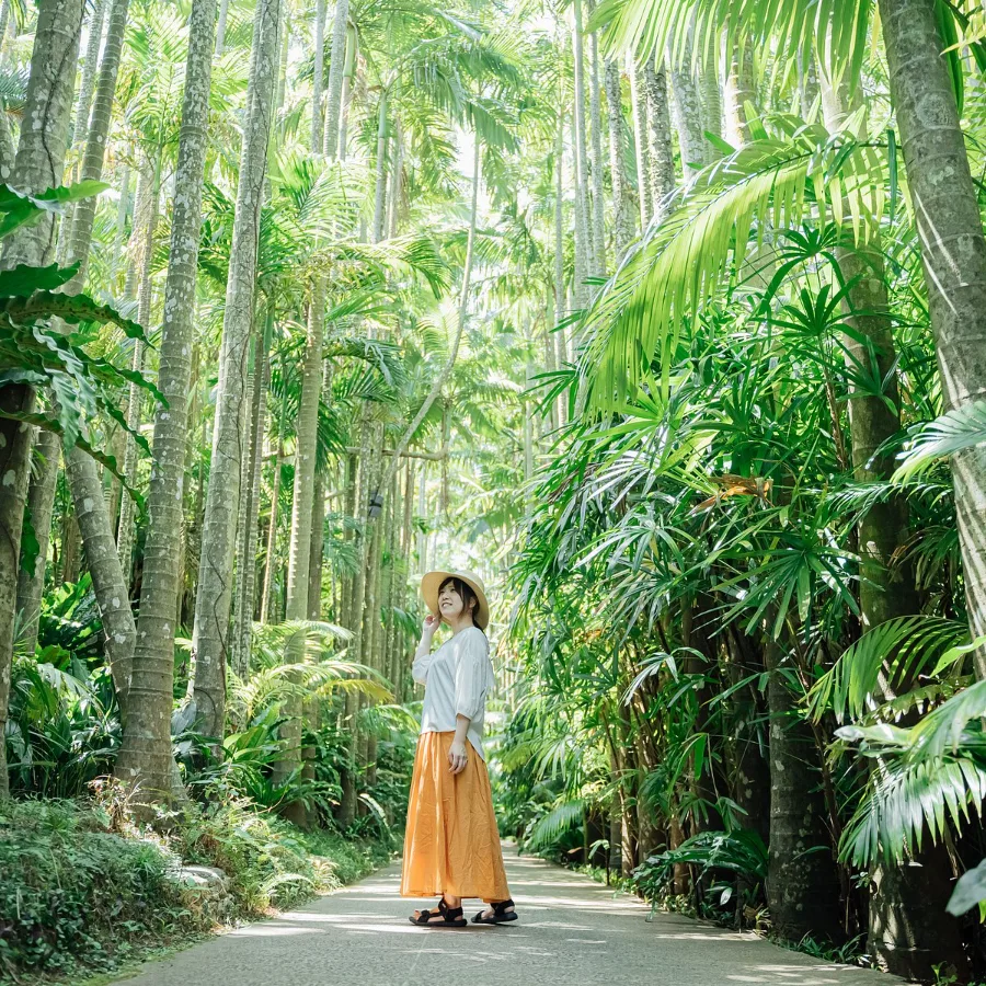 Southeast Botanical Gardens | Địa điểm du lịch Okinawa Nhật Bản