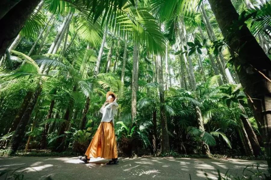 Southeast Botanical Gardens | Địa điểm du lịch Okinawa Nhật Bản