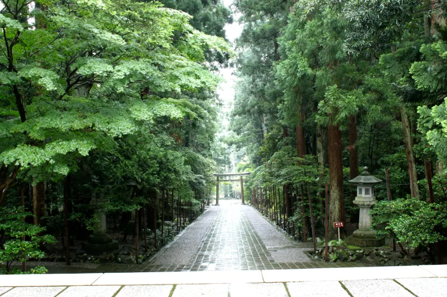 Yahiko Shrine: Hành trình tâm linh về miền đất thánh