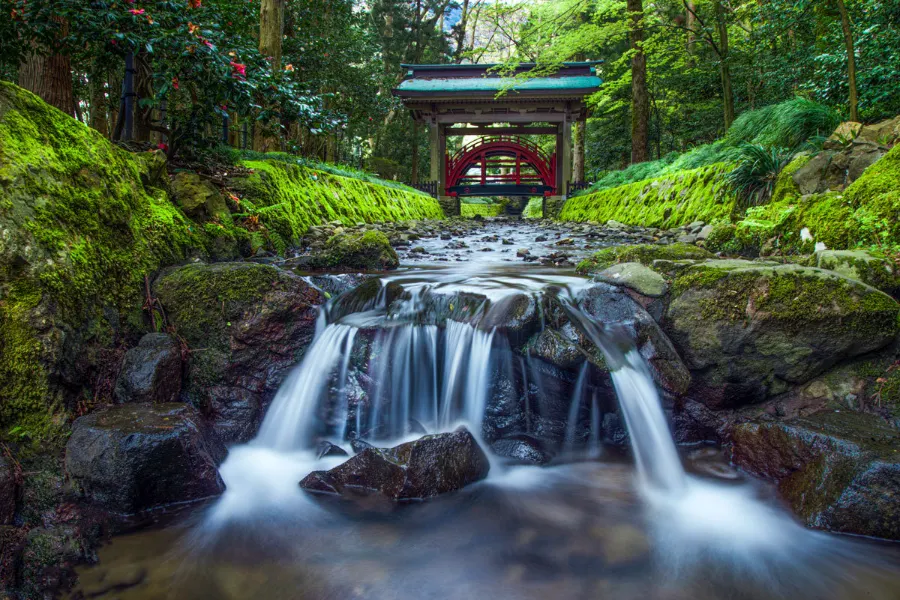 Yahiko Shrine: Hành trình tâm linh về miền đất thánh