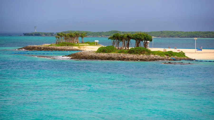 công viên hải dương Bise | Uruma, Okinawa Nhật Bản