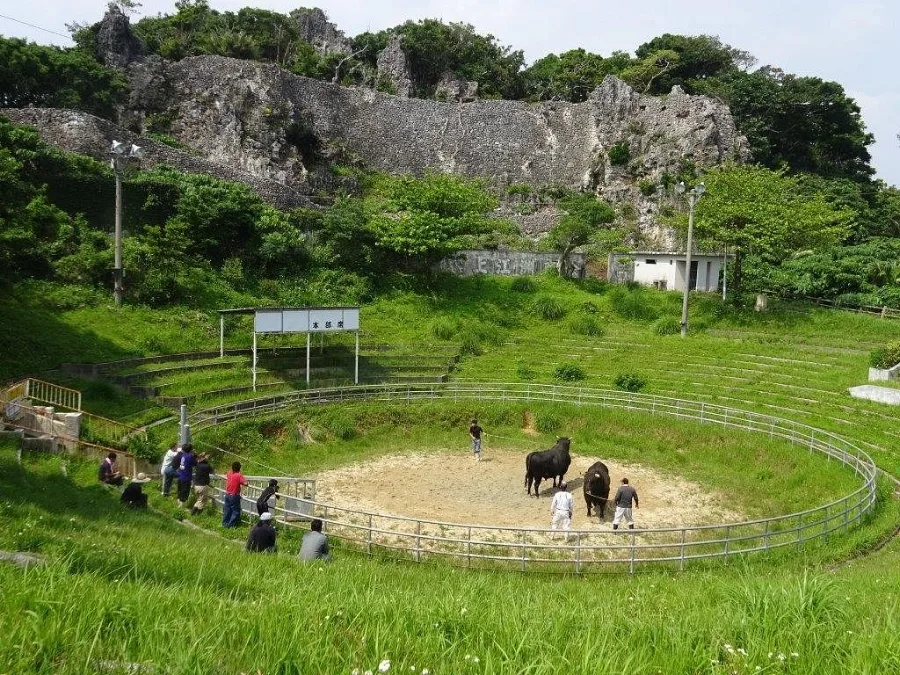 Uruma Nhật Bản: Khám phá vẻ đẹp tiềm ẩn của Okinawa