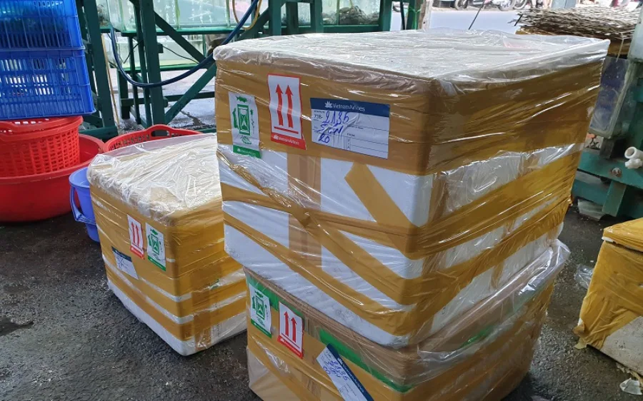 Hải sản có được mang lên máy bay không?