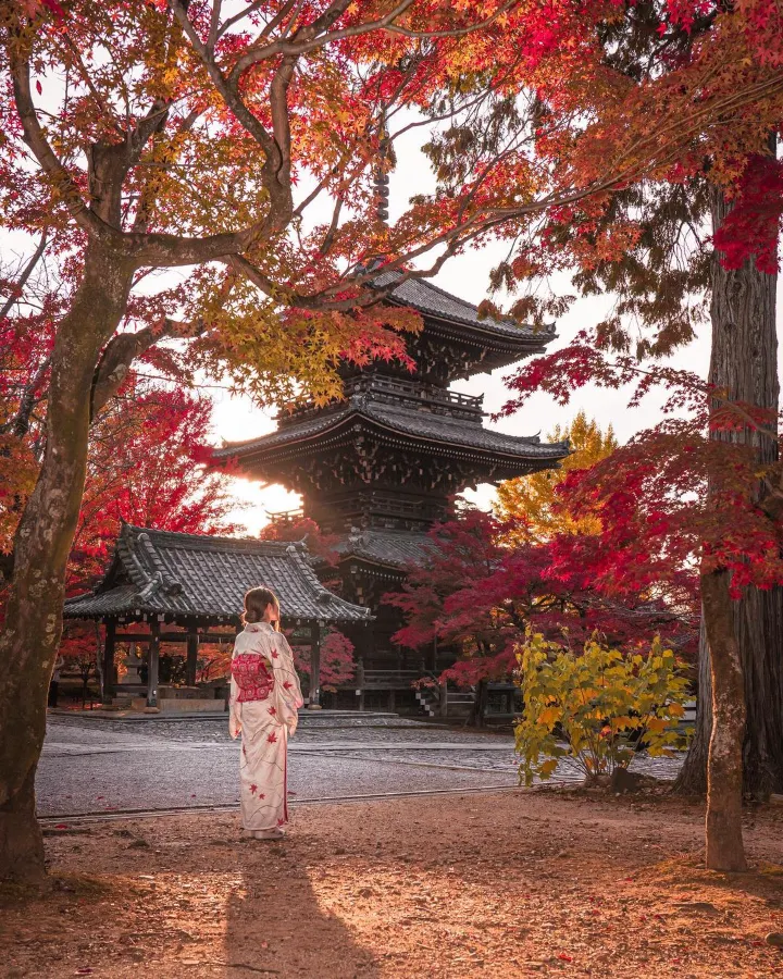 Tour du lịch Kobe - Ưu Đãi Ngập Tràn, Vi vu Nhật Bản