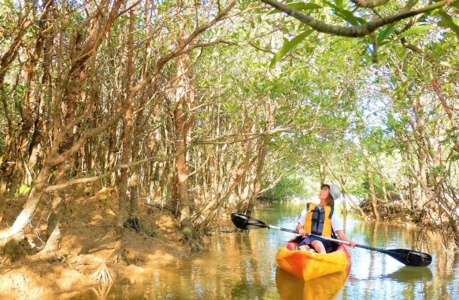 Chèo thuyền kayak trên vịnh Nago | Du Lịch Nago, Okinawa