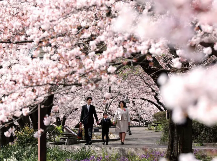 Top 19 địa điểm ngắm hoa anh đào ở Osaka vào mùa xuân Khu phố Amerika-mura | Ngắm hoa anh đào ở Osaka