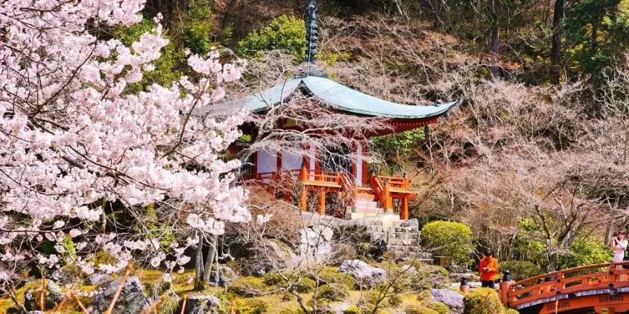 Chùa Daigo-ji | Hoa anh đào ở Kyoto