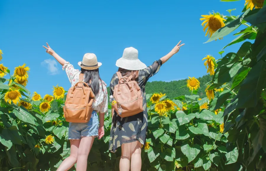 Khám phá 27 vườn hoa đẹp nhất Nhật Bản Himawari no Sato | Vườn hoa đẹp nhất Nhật Bản