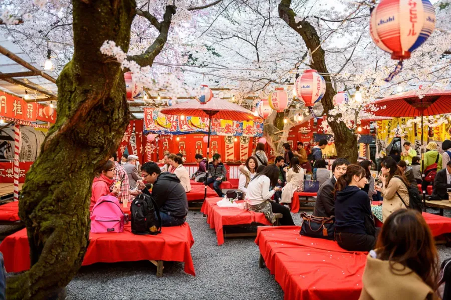 Đền Hirano | Hoa anh đào ở Kyoto