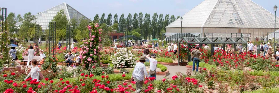 Khám phá 27 vườn hoa đẹp nhất Nhật Bản Công viên Iwamizawa