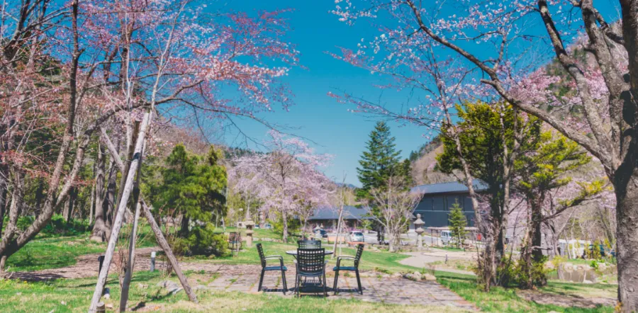 Top 13 địa điểm ngắm hoa anh đào ở Hokkaido Nông trại Jozankei | Ngắm hoa anh đào ở Hokkaido